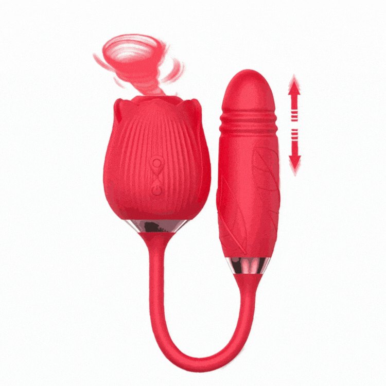 2-in-1 Rose Toy with Vibrating Egg - Clit Sucker
