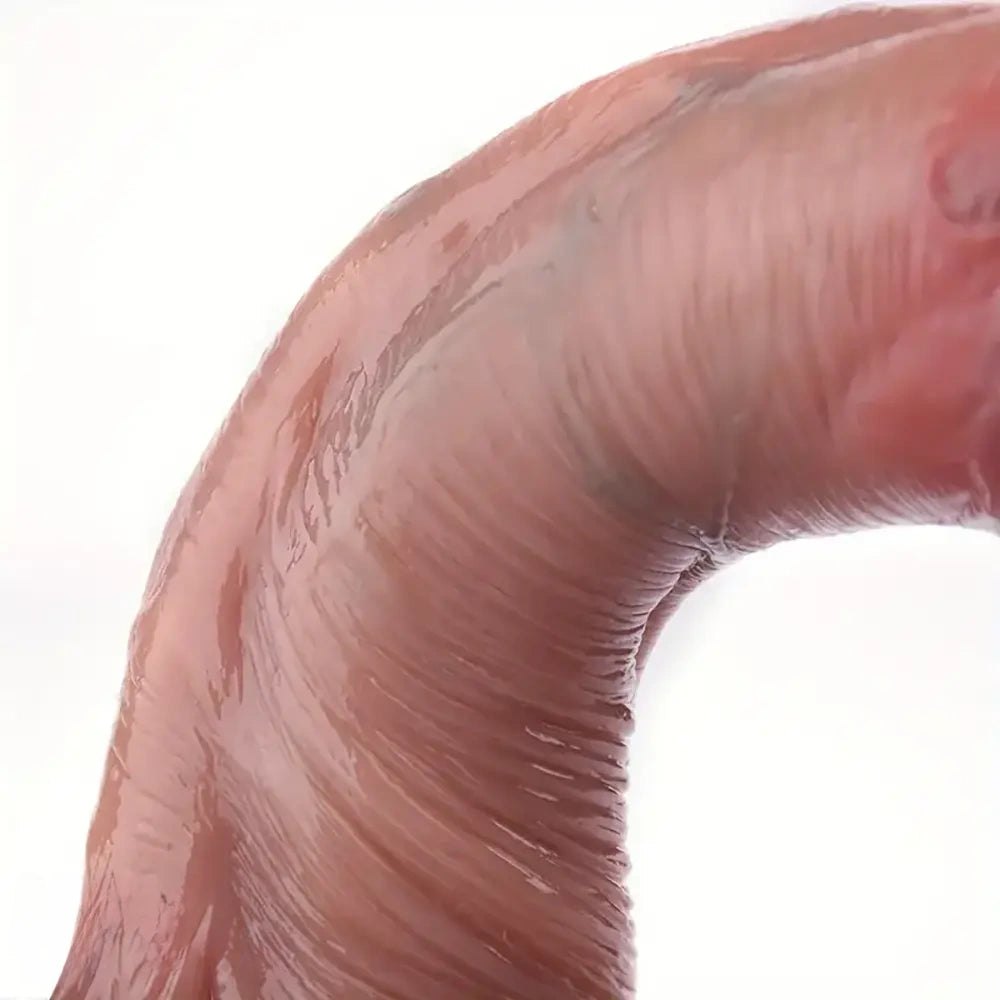 Curved Suction Cup Dildo with Veins - Suction Cup Dildo