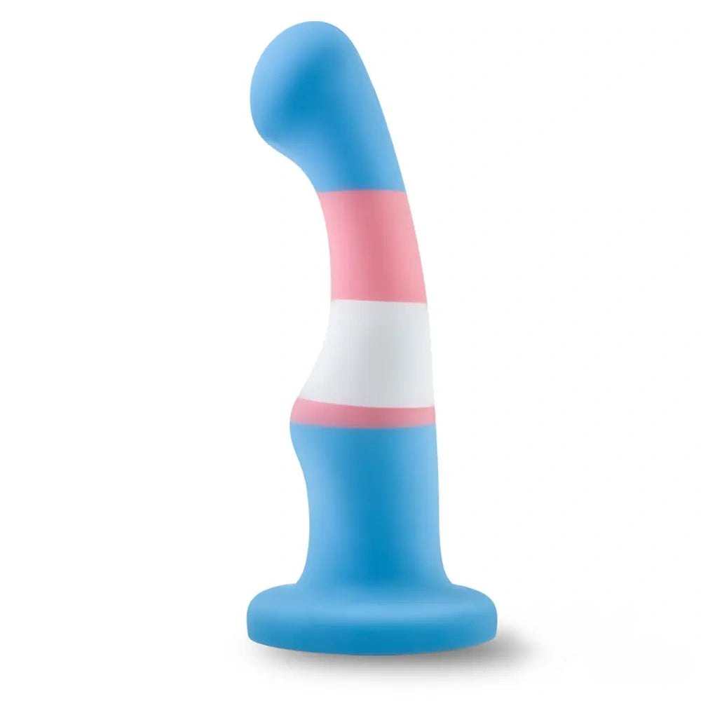 Pride Color Curved Dildo - Rainbow Anal Silicone Dildo