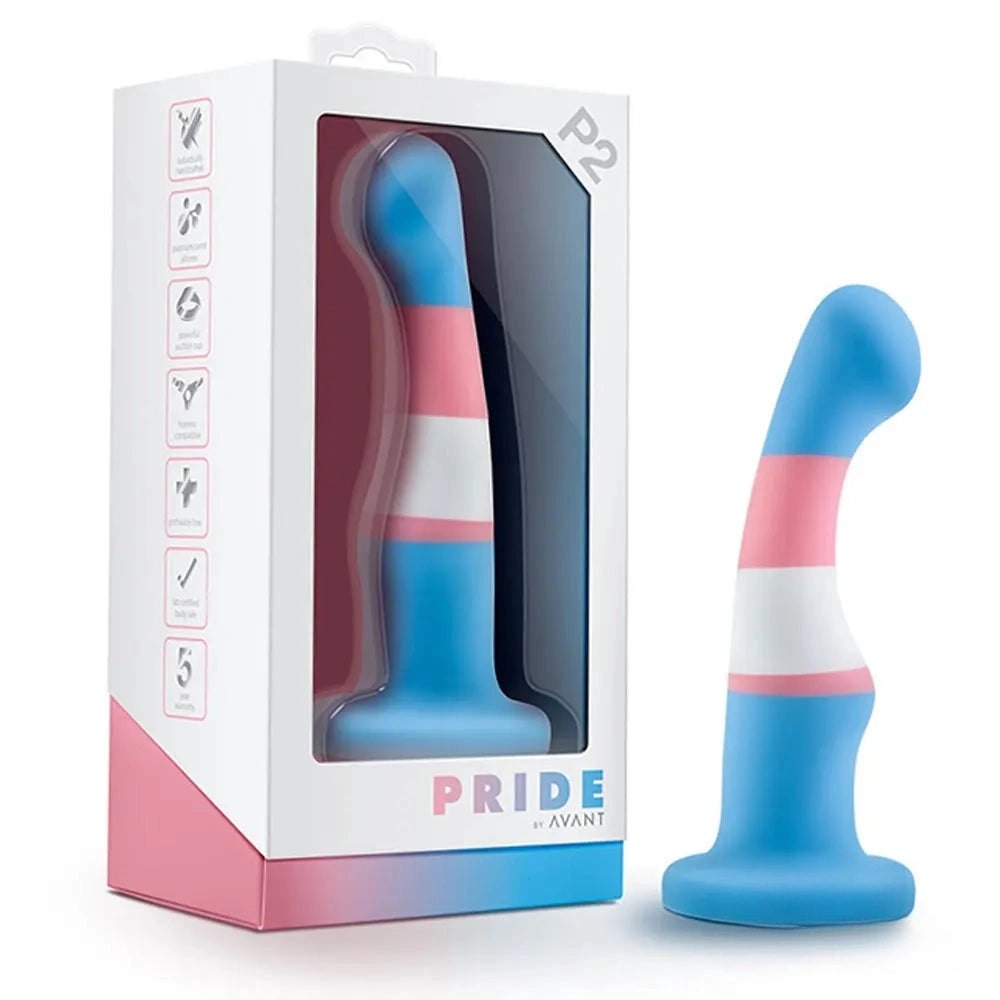 Pride Color Curved Dildo - Rainbow Anal Silicone Dildo