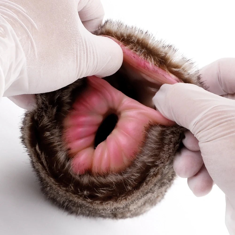 Removable Sleeve Tabby Masturbator - Furry Male Masturbator