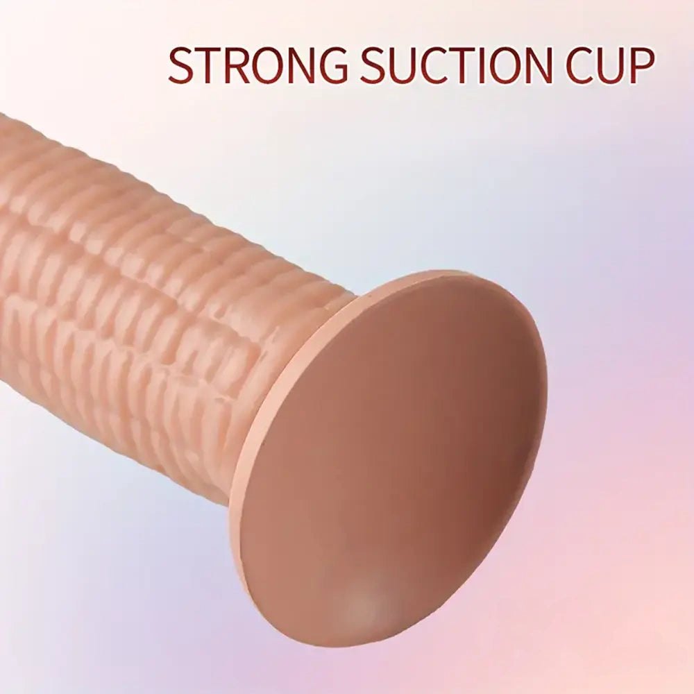 Ribbed Suction Cup Dildo - Realistic PVC Dildo, 7 in