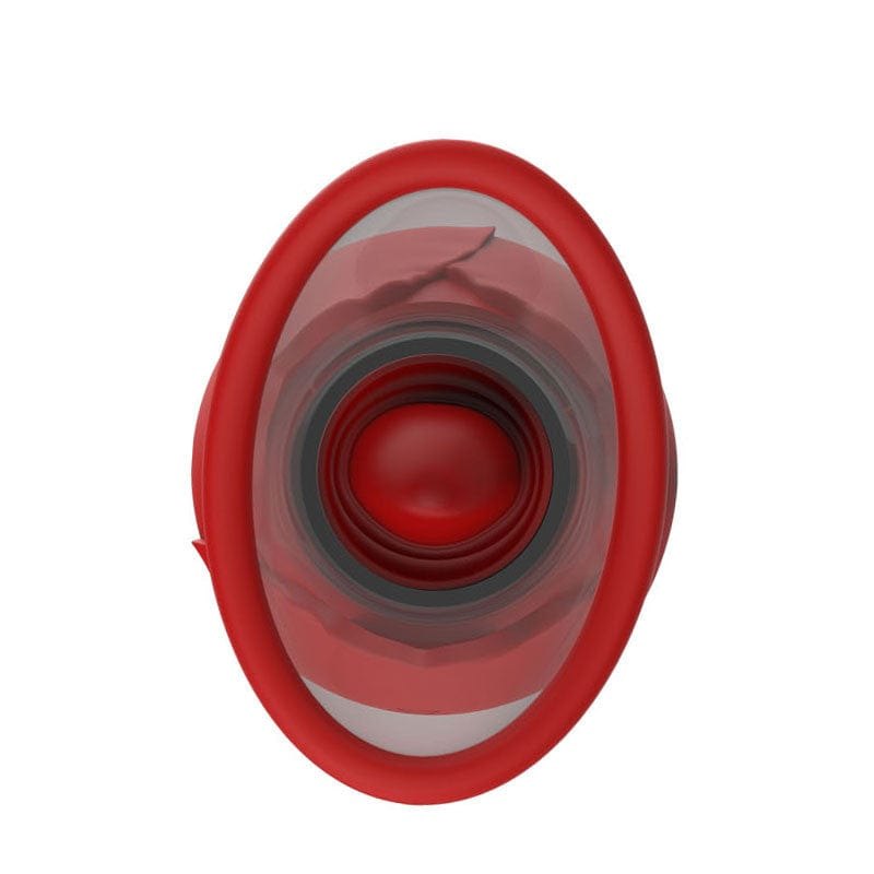 Rose Nipple Suction Vibrator - Nipple Suckers Toy